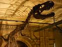 2011_12_London (79)